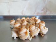 Продам белый ропан
