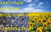 Отходы подсолнечника Куплю!