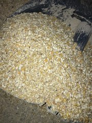 кукурузу неклассную с повышенной зерновой примесью 