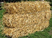 Солома для мульчування
