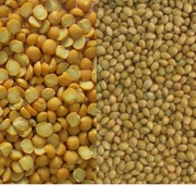 Куплю просо дорого  Куплю горох