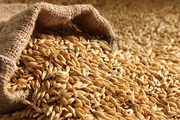 Зерносмеси,  зерноотходы,  зерновые куплю