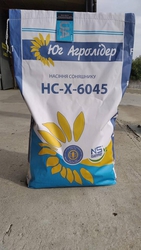 Насіння Соняшника