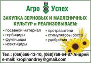 Закупка зерновых и масляных культур 