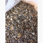 Куплю отход подсолнечника дорого