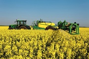Куплю відходи ріпаку. Куплю відходи соняшника