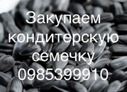 Закупаем кондитерский подсолнечник и крупного размера масличный гибрид