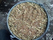 Зерноотход куплю. Закупаю зерновые,  масличные,  бобовые отходы!