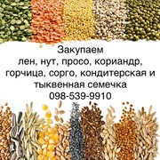Закупаем кондитерскую семечку и нишевые культуры Лен Нут Просо Корианд