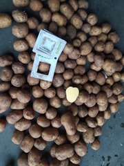 Продам картофель с овощехранилища от производителя