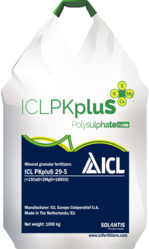 ICL PKpluS 29-5 (+2MgO+21CaO+18SO3) 