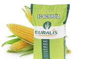 Продам семена кукурузы Астероид ЕС Евралис