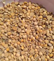 Купуємо половинки сої по Україні