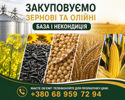 Купуємо зернові, бобові та олійні культури (база та некондиція)