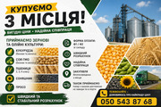 Закупівля зернових та олійних культур