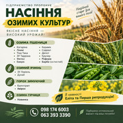 Посівний матеріал озимих культур