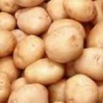 Продажа картофеля