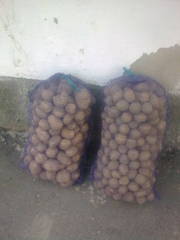 Продам картошку оптом.0984446841 0678469010 